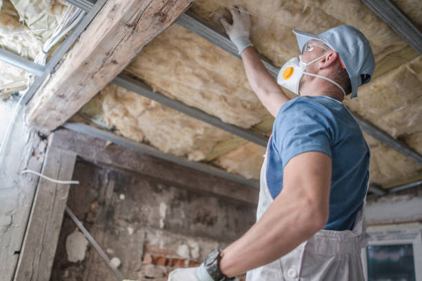 Best Professional Insulation Contractor  in Bell Gardens, CA