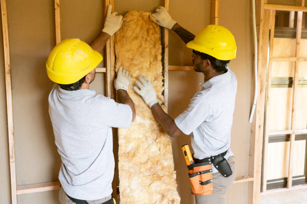 Best Cellulose Insulation  in Bell Gardens, CA