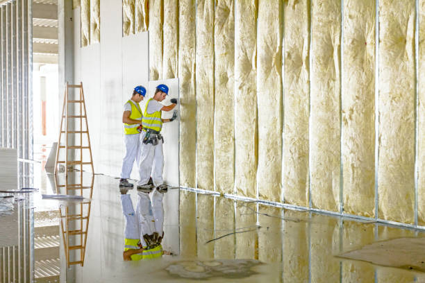 Best Insulation Removal  in Bell Gardens, CA